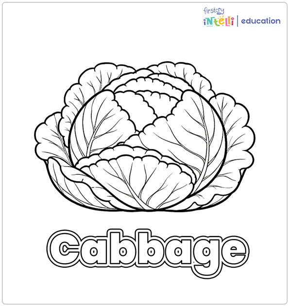 Cabbage Coloring Page