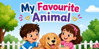 My Favourite Animal
