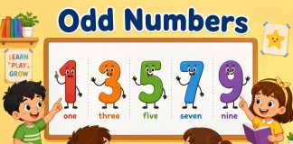 Odd Numbers