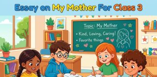 Essay on My Mother for Class 3
