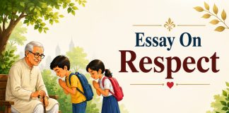 Essay On Respect