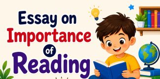 Essay On Importance Of Reading