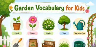 Garden Vocabulary - Common Gardening Words For Kids