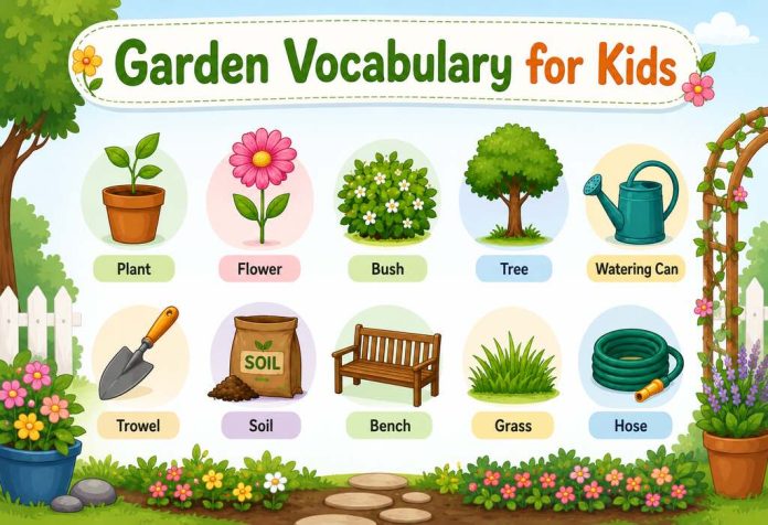 Garden Vocabulary - Common Gardening Words For Kids