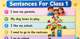 Sentences for Class 1