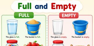 Full and Empty Concept