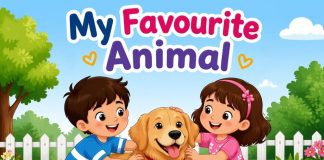 My Favourite Animal Essay