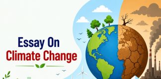Essay on Climate Change