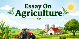 Essay On Agriculture