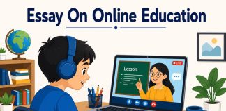 Essay on Online Education