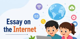 Essay on the Internet