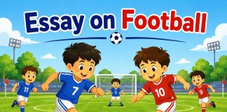 Essay on Football
