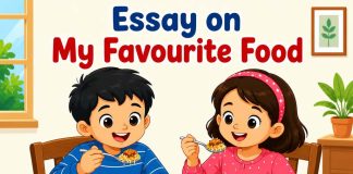 Essay on My Favourite Food