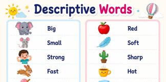 Descriptive Words