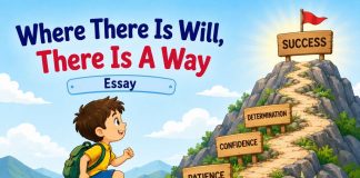 Where There is a Will, There is a Way Essay