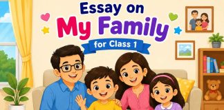 Essay on My Family for Class 1