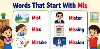 Words That Start With Mis
