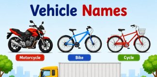 Vehicle Names