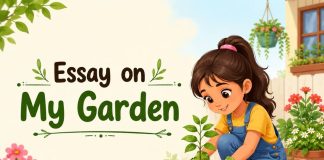 Essay On My Garden