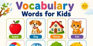 Vocabulary Words for Kids