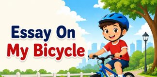 Essay on My Bicycle