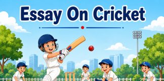 Essay On Cricket