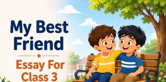 My Best Friend Essay For Class 3
