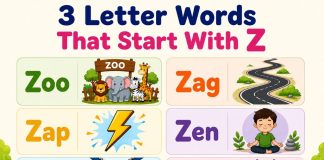 3 Letter Words That Start With Z