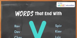 Words That End with V