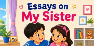 Essay on My Sister