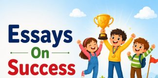 Essays On Success