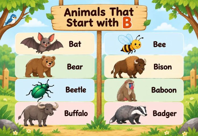 Animal That Start with B