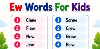Ew Words For Kids