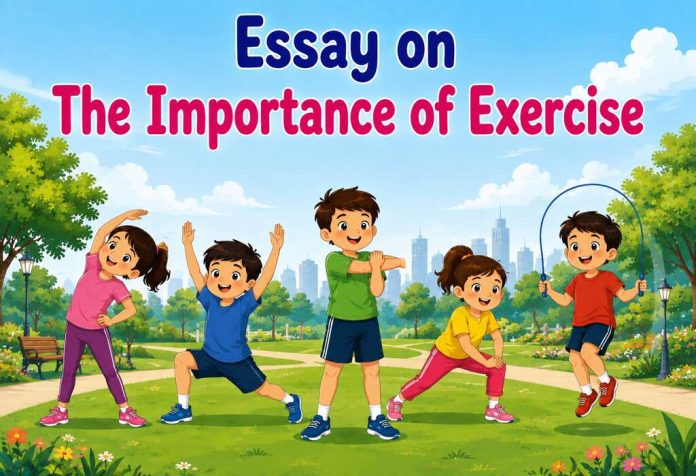 Essay On The Importance Of Exercise