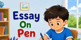 Essay On Pen