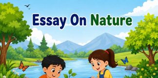 Essay On Nature