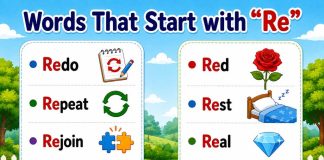 Words That Start With Re