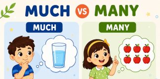 Much Vs. Many