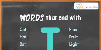 Words That End with T