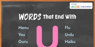 Words That End with U