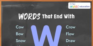 Words That End with W