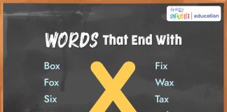 Words That End with X