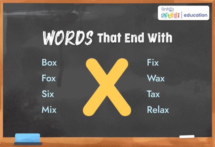 Words That End with X