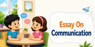 Essay On Communication