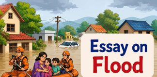 Essay on Flood