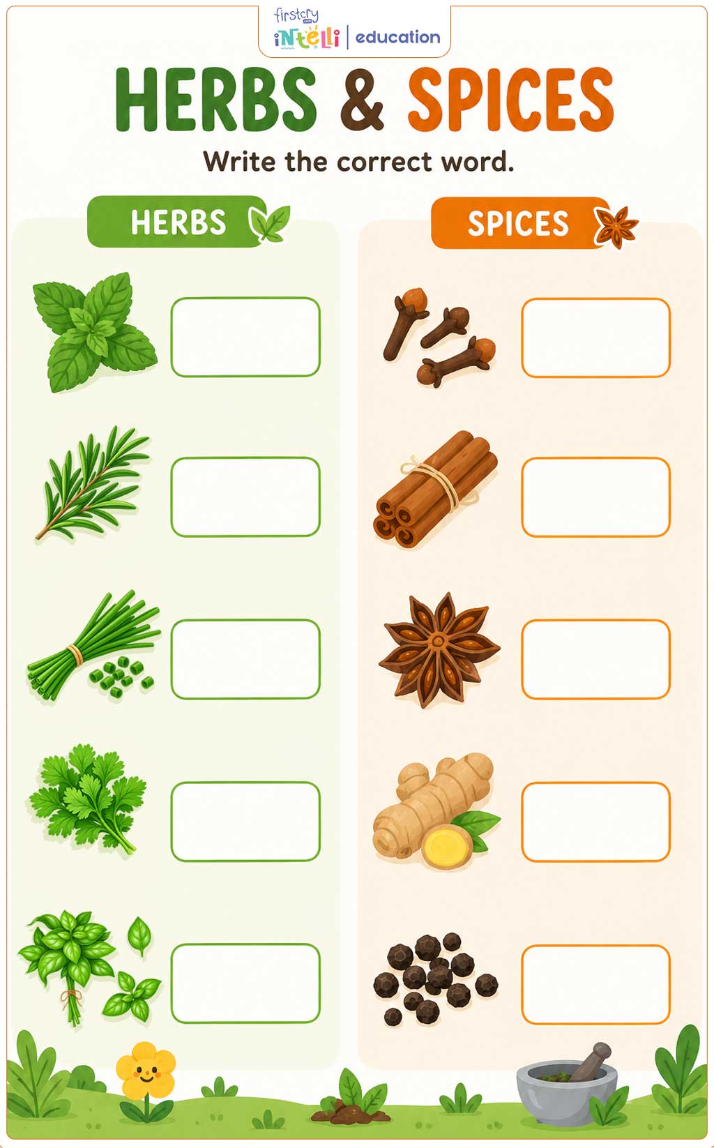 Herbs and Spices Worksheet Herbs and Spices Worksheet