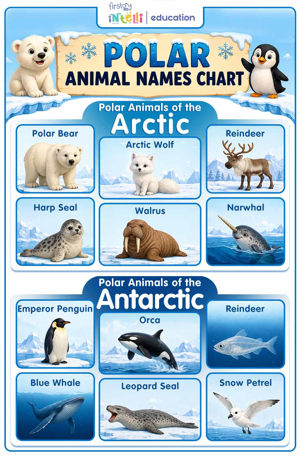 Polar Animal Names Chart Polar Animal Names Chart