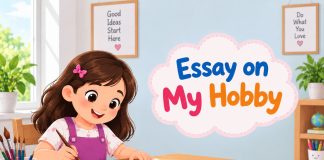 Essay on My Hobby