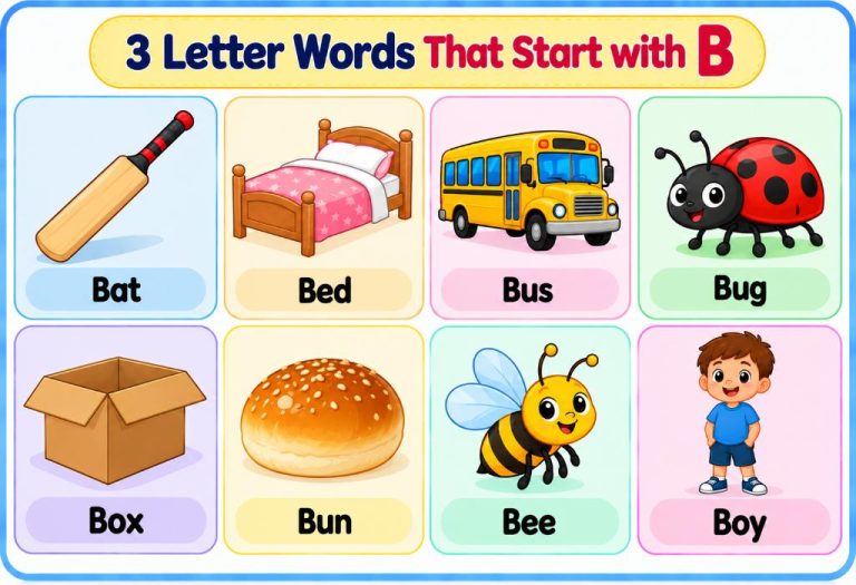 3 Letter Words That Start with B - List with Examples