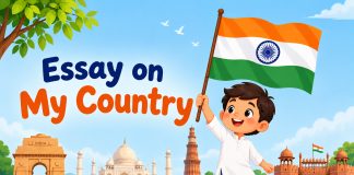 Essay on My Country